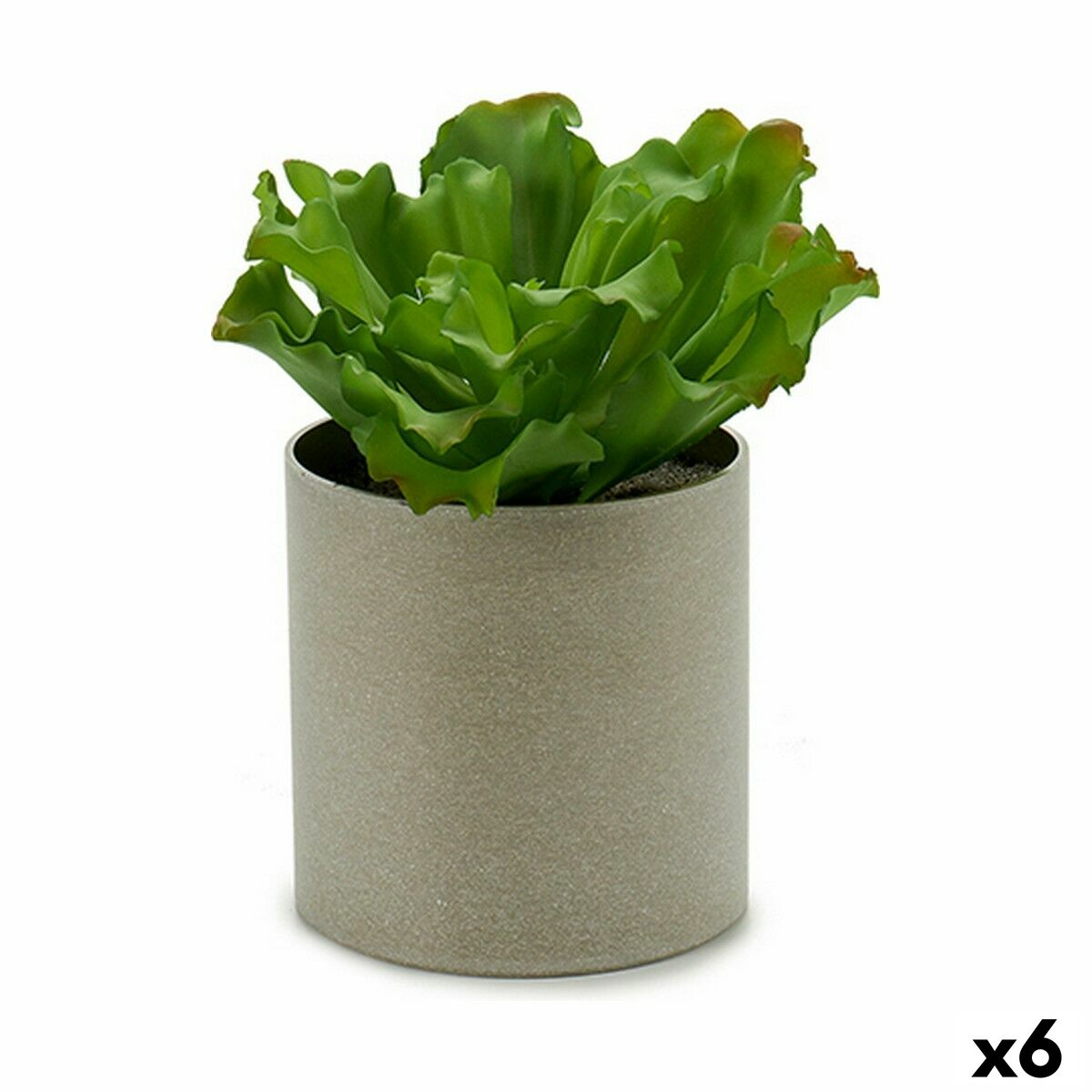Decorative Plant Ibergarden YC181588 20 x 25 x 20 cm (6 Units) Decorative Plant Ibergarden YC181588 20 x 25 x 20 cm (6 Units)