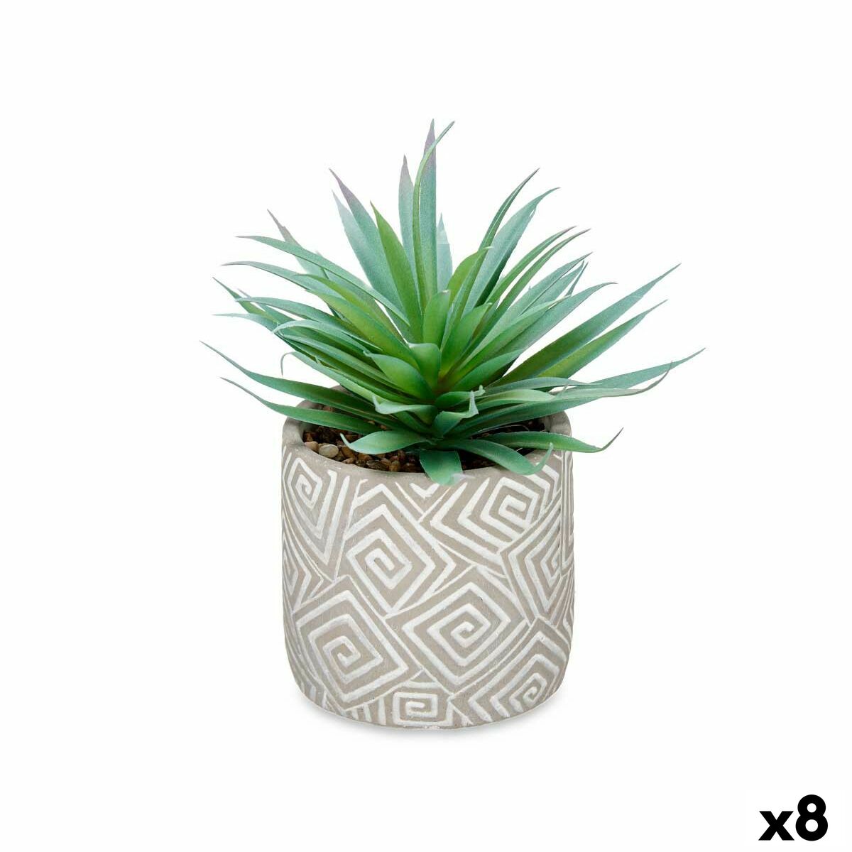 Decorative Plant Ibergarden QY-H012 Wood Plastic Cement Succulent 17 x 21 x 17 cm (8 Units) Decorative Plant Ibergarden QY-H012 Wood Plastic Cement Succulent 17 x 21 x 17 cm (8 Units)