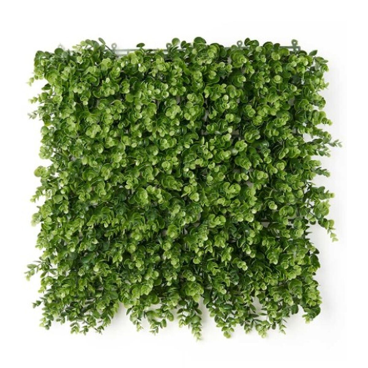 Vertical Garden Ibergarden Green Plastic Sheets 50 x 50 cm