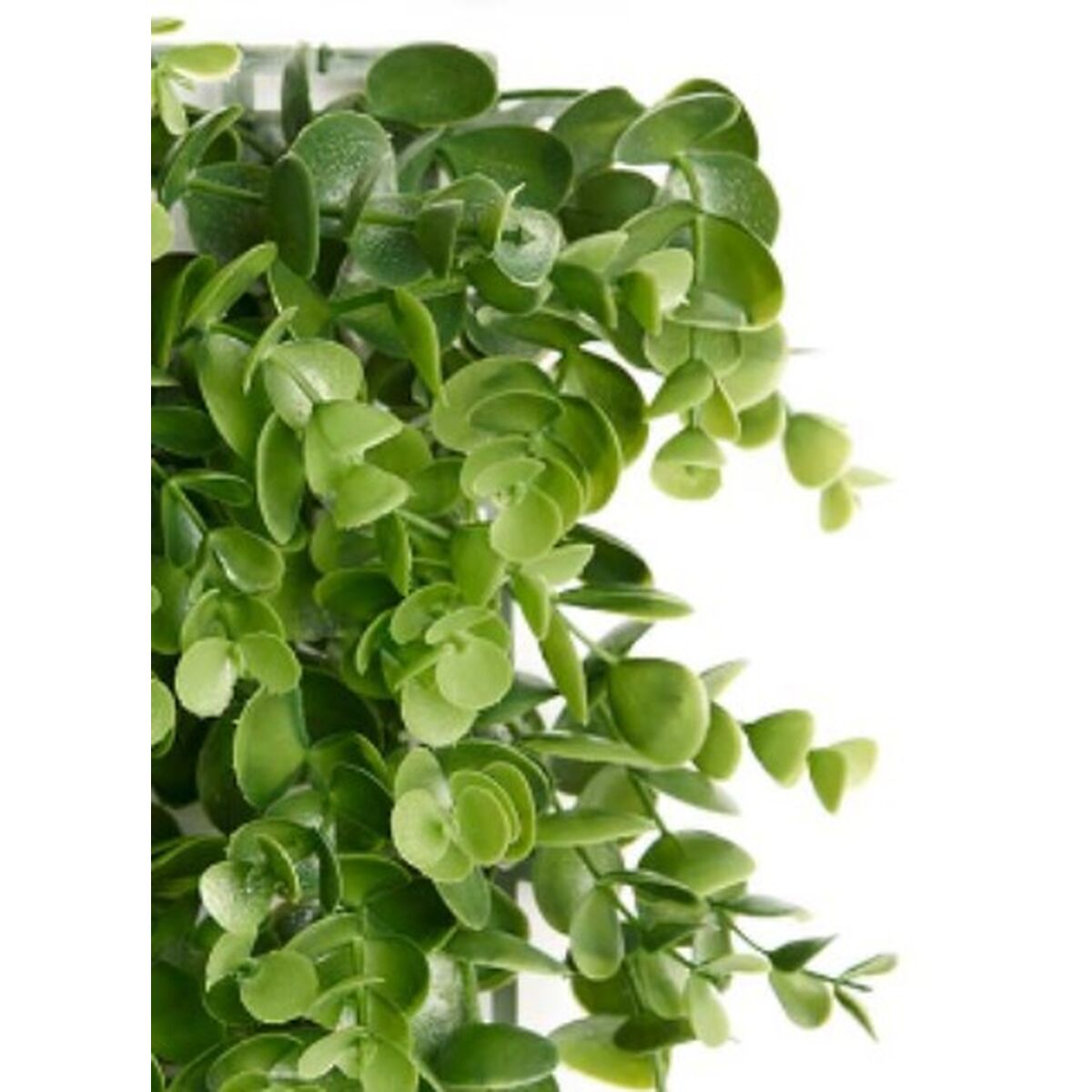 Vertical Garden Ibergarden Green Plastic Sheets 50 x 50 cm