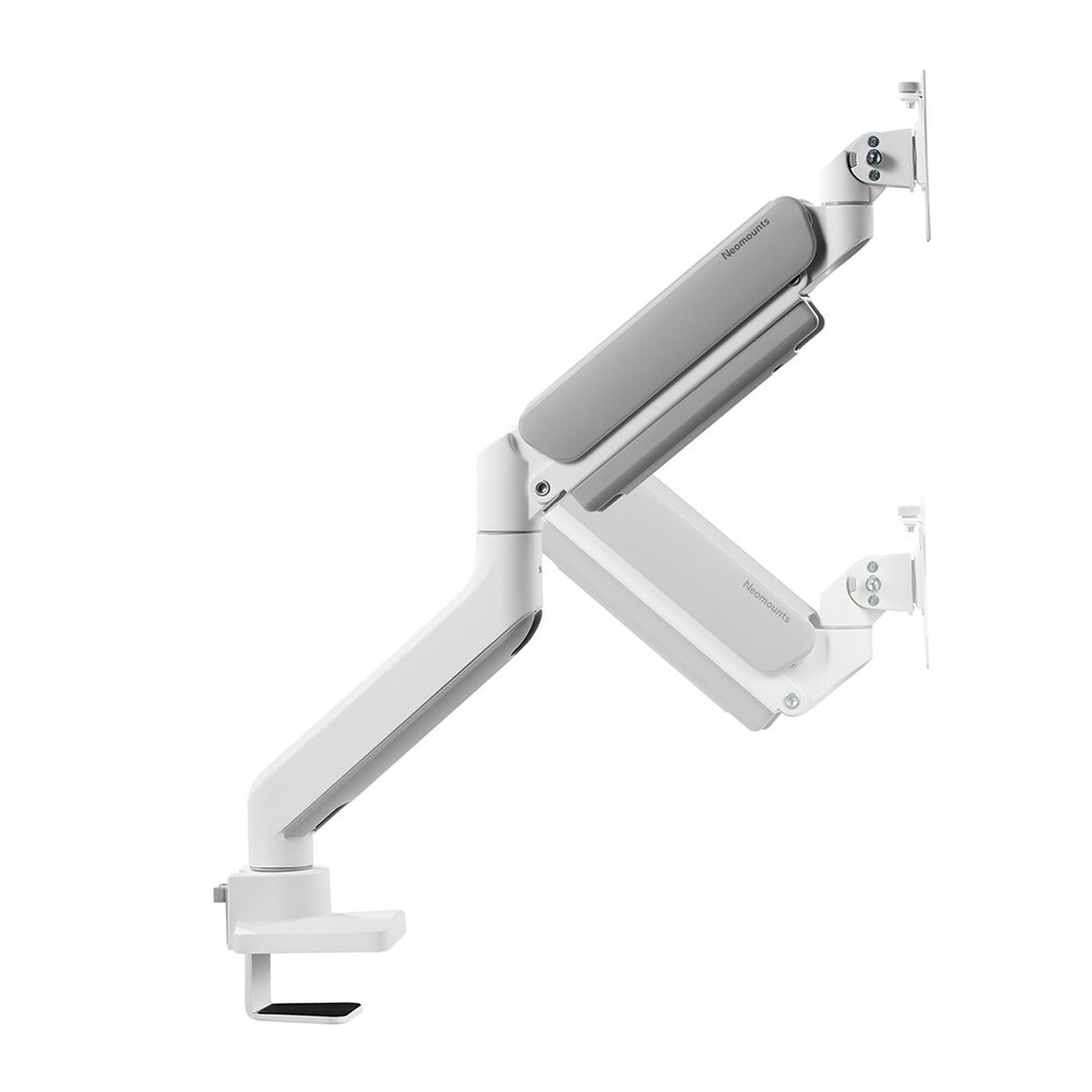 Screen Table Support Neomounts DS70-450WH1 Screen Table Support Neomounts DS70-450WH1