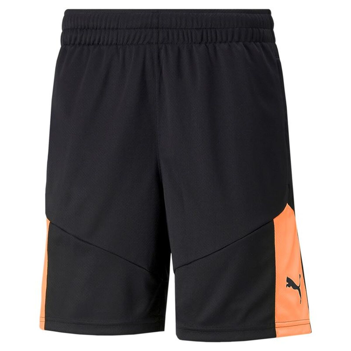 Sports Shorts Puma Individual Final Black
