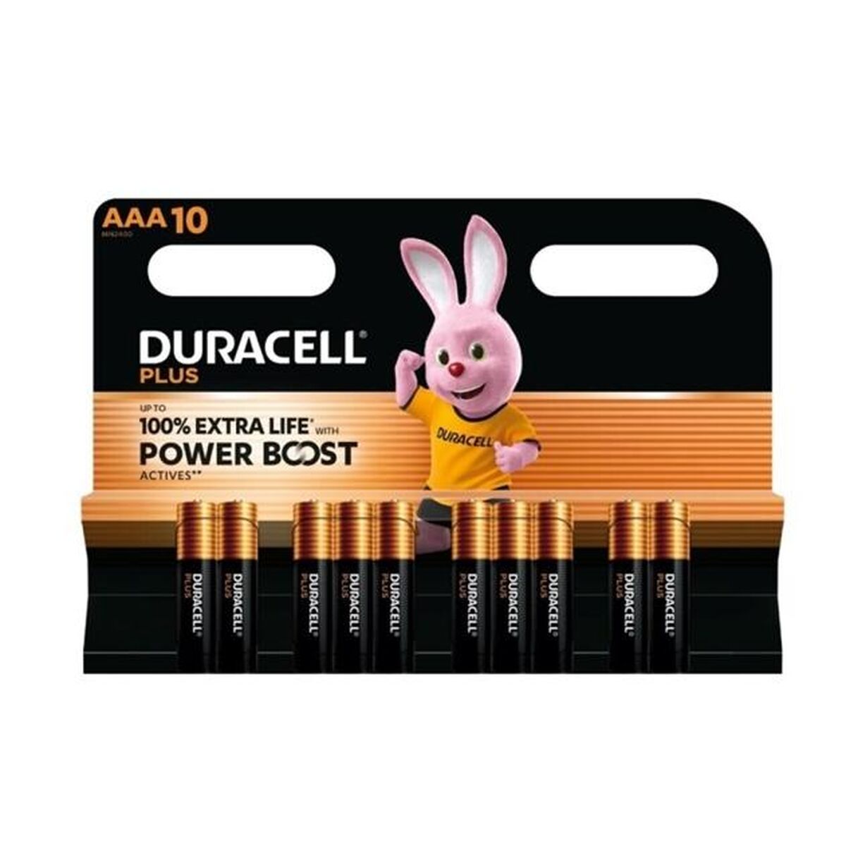Alkaline Batteries DURACELL PLUS POWER 1,5 V AAA 10 Pieces (12 Units)