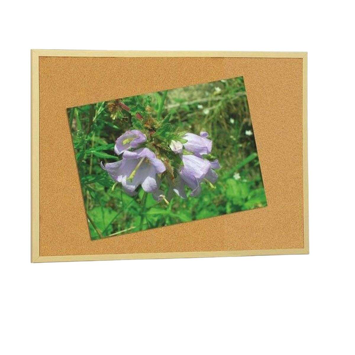 Cork board Faibo Brown 60 x 120 cm Cork board Faibo Brown 60 x 120 cm