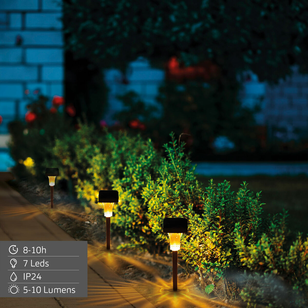 Solar lamp Aktive 6 x 33 x 6 cm (6 Units)