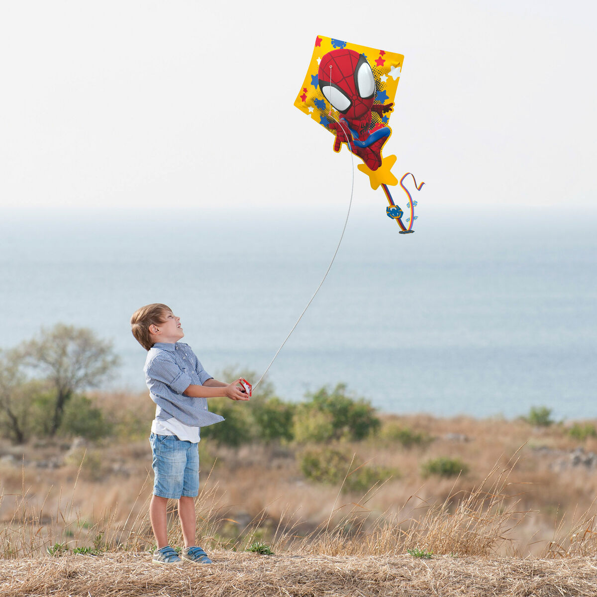Comet Spider-Man 55 X 68 X 2 CM (6 Units)
