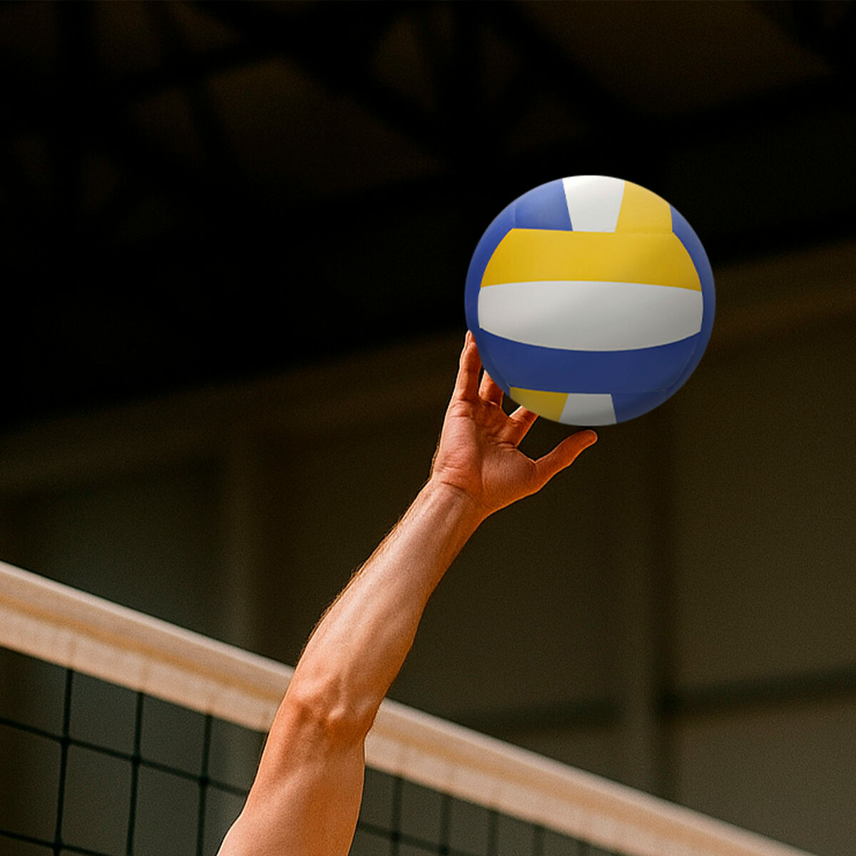 Volleyball Ball Aktive
