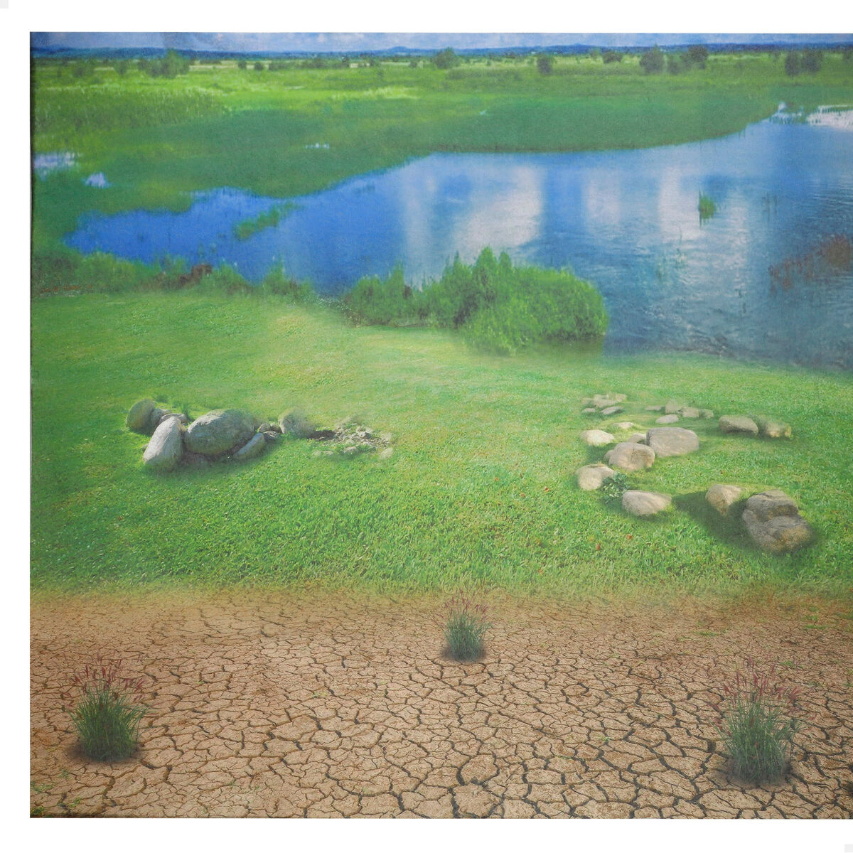 Set of Wild Animals Colorbaby Plastic 13 x 12 x 5 cm (4 Units)