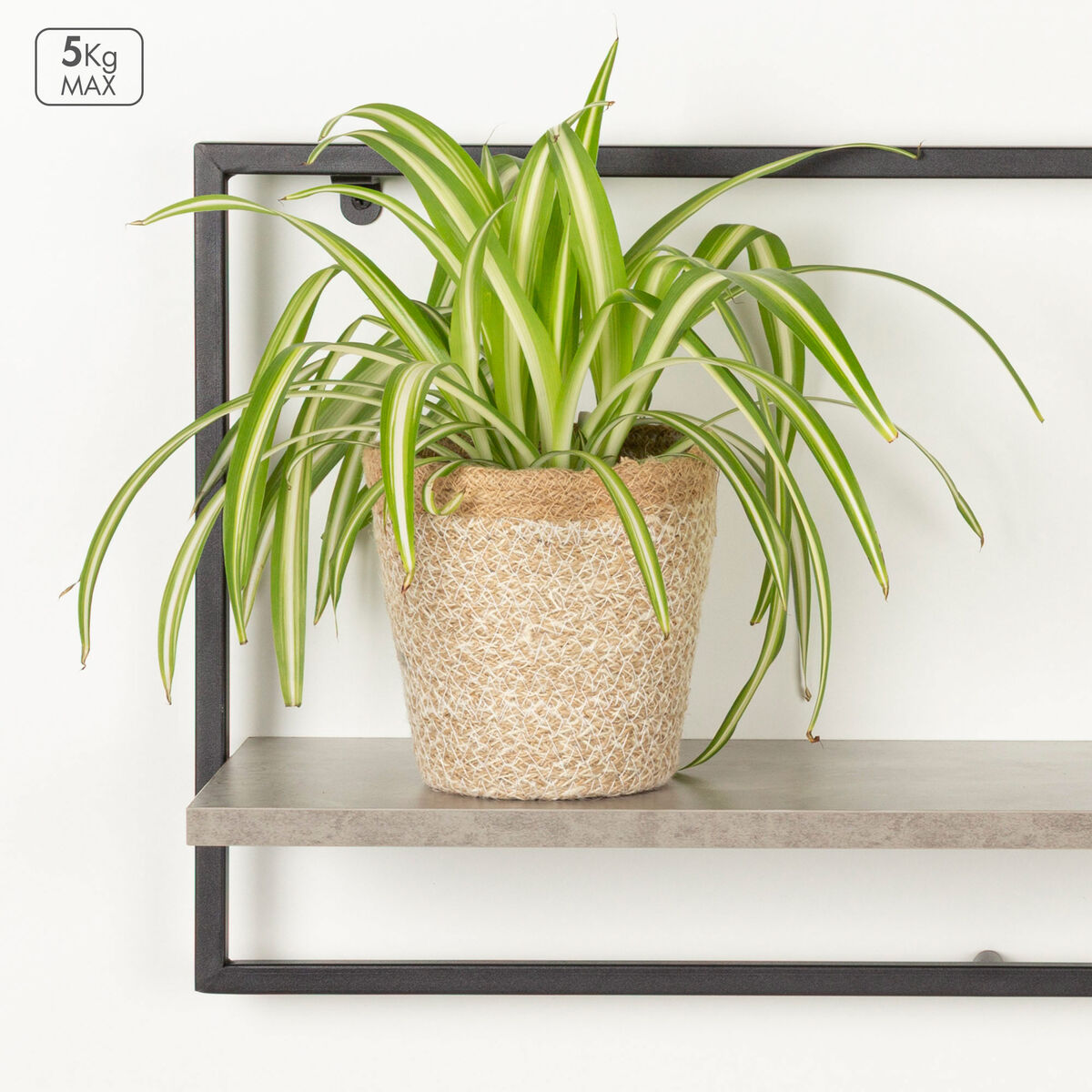 Coat rack Max Home Iron MDF Wood (4 Units)