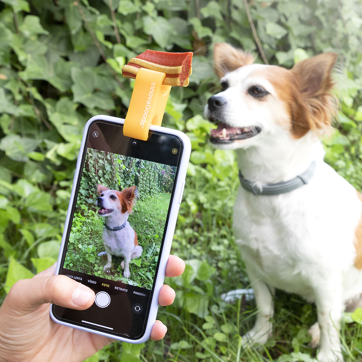 Selfie Clip for Pets Pefie InnovaGoods Selfie Clip for Pets Pefie InnovaGoods