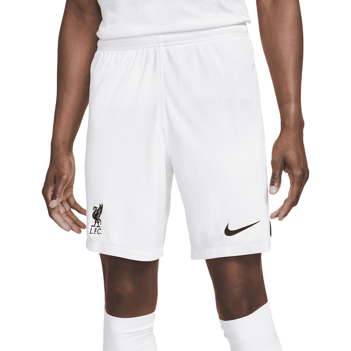 Men’s Sports Shorts Nike DN2725-100-S