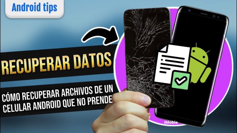驴C贸mo recuperar datos perdidos en tu celular antes de repararlo? 驴C贸mo recuperar datos perdidos en tu celular antes de repararlo?