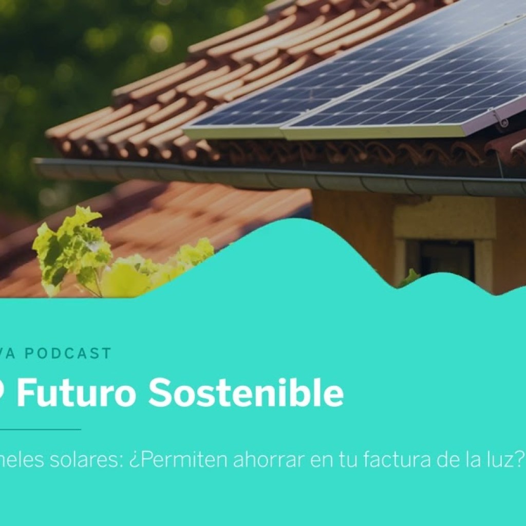 Paneles solares: la tecnología del futuro al alcance de tu mano Paneles solares: la tecnología del futuro al alcance de tu mano