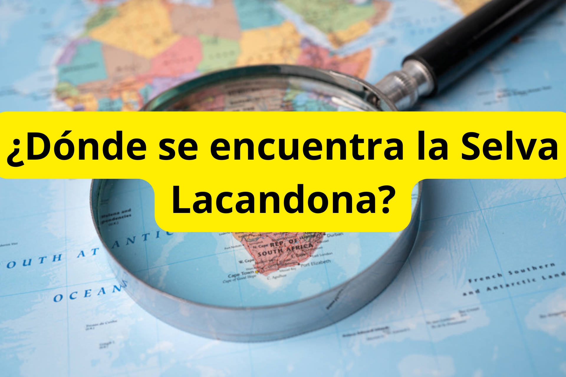 ¿Dónde se encuentra la Selva Lacandona? ¿Dónde se encuentra la Selva Lacandona?