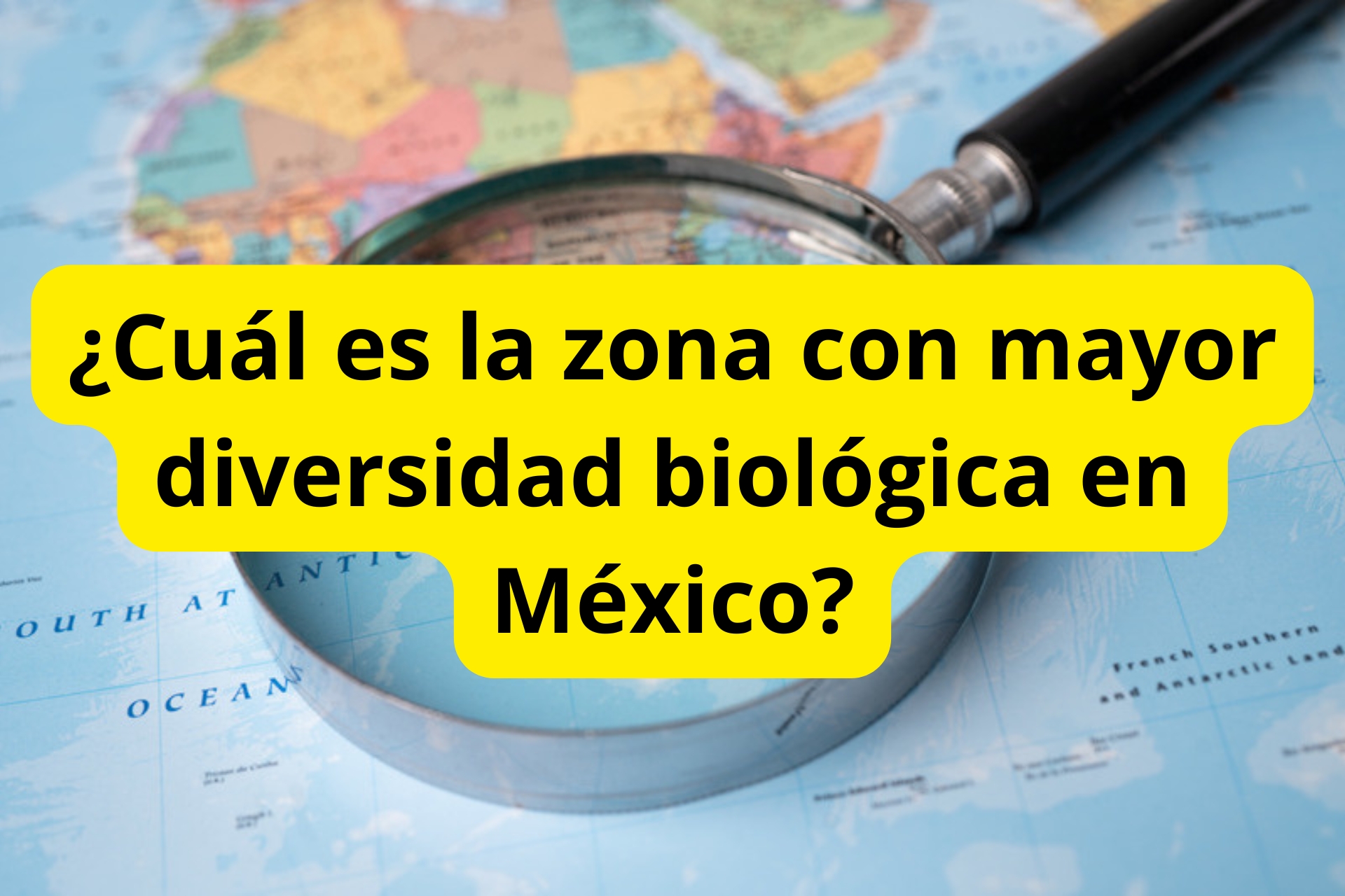¿Cuál es la zona con mayor diversidad biológica en México? ¿Cuál es la zona con mayor diversidad biológica en México?