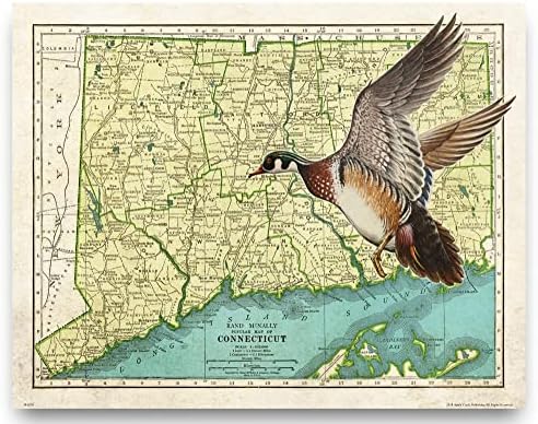 Connecticut State Map Wood Duck Goose Call Hunting Decoy Poster Art Print 11×14 Cabin Wall Decor Pictures Connecticut State Map Wood Duck Goose Call Hunting Decoy Poster Art Print 11×14 Cabin Wall Decor Pictures