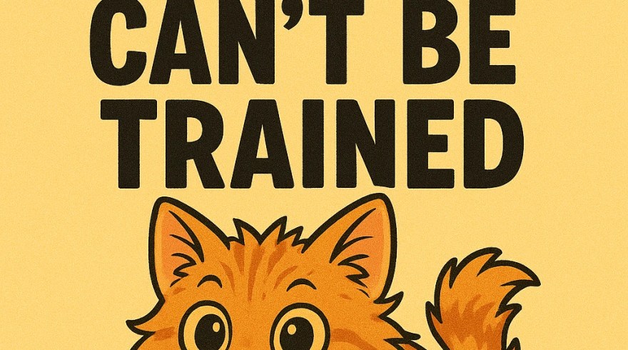 Cats are still wild animals Cats are still wild animals