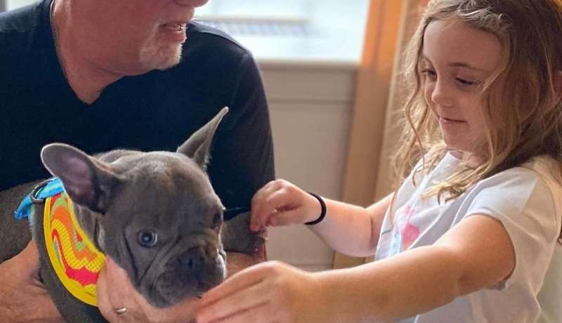 Adiós a Bunky: El Impacto Emocional en el Marketing Digital y SEO