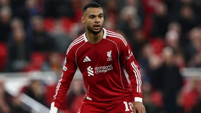 El Liverpool hace grandes movimientos para sustituir a Cody Gakpo El Liverpool hace grandes movimientos para sustituir a Cody Gakpo