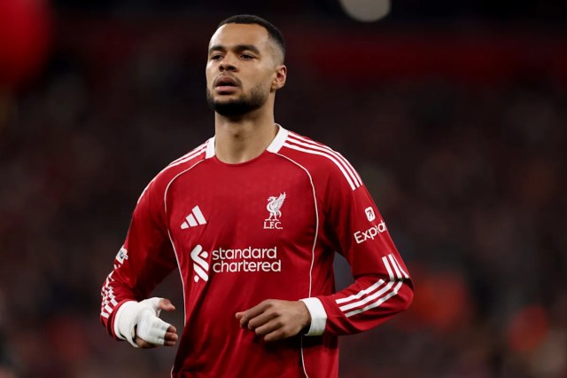 El Tottenham Hotspur se enfrenta a una dura competencia por este extremo del Liverpool: ¿buena opción para los Spurs? El Tottenham Hotspur se enfrenta a una dura competencia por este extremo del Liverpool: ¿buena opción para los Spurs?