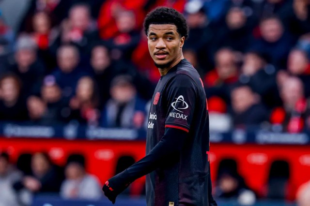 Informe: Fulham se mudará por un atacante de la Bundesliga de £ 30 millones Informe: Fulham se mudará por un atacante de la Bundesliga de £ 30 millones