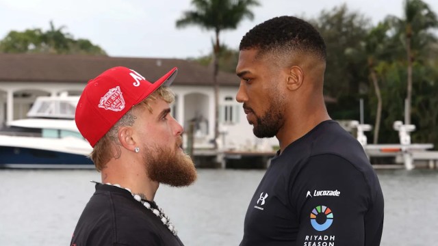 Chael Sonnen sobre Jake Paul vs. Anthony Joshua: “Verdaderamente el mayor desajuste en el deporte de mi vida” Chael Sonnen sobre Jake Paul vs. Anthony Joshua: “Verdaderamente el mayor desajuste en el deporte de mi vida”