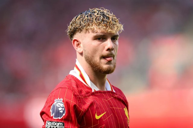 Exclusivo: la leyenda del club insta a la estrella del Liverpool a irse después de las recientes luchas Exclusivo: la leyenda del club insta a la estrella del Liverpool a irse después de las recientes luchas