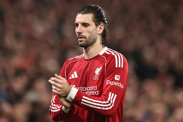 Avance del partido: el Liverpool regresa a la acción de la Premier League para enfrentarse al Brighton Avance del partido: el Liverpool regresa a la acción de la Premier League para enfrentarse al Brighton