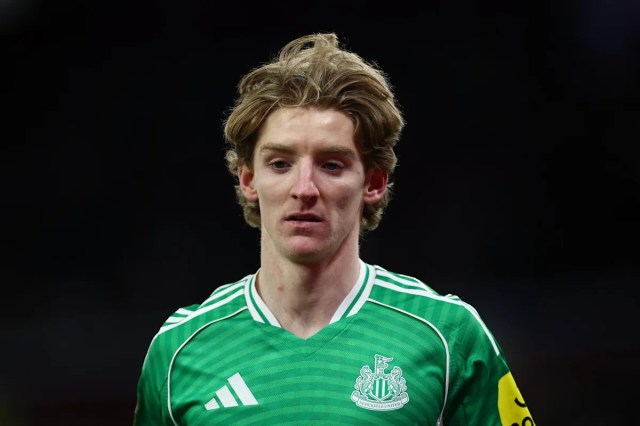 El Arsenal identifica a este extremo del Newcastle United como objetivo: ¿qué aportará al equipo de Arteta? El Arsenal identifica a este extremo del Newcastle United como objetivo: ¿qué aportará al equipo de Arteta?