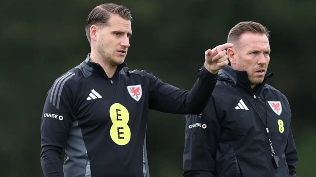 ¿Quién es Cremers, el técnico de Gales en ausencia de Bellamy? ¿Quién es Cremers, el técnico de Gales en ausencia de Bellamy?