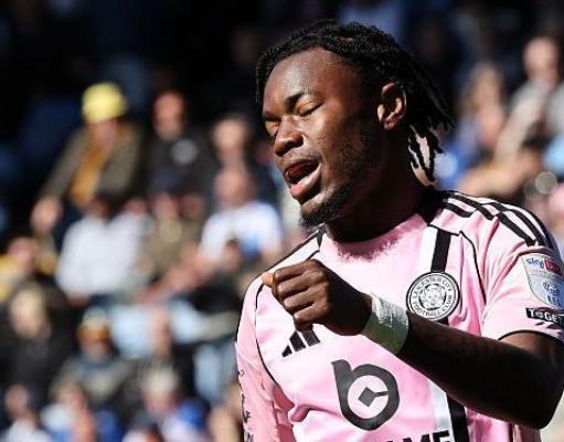 Los búhos reciben un ‘golpe bajo’ en la lucha de los zorros por la supervivencia Los búhos reciben un ‘golpe bajo’ en la lucha de los zorros por la supervivencia