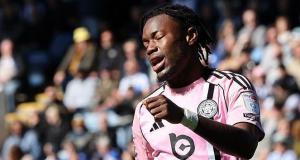 Los búhos reciben un ‘golpe bajo’ en la lucha de los zorros por la supervivencia Los búhos reciben un ‘golpe bajo’ en la lucha de los zorros por la supervivencia