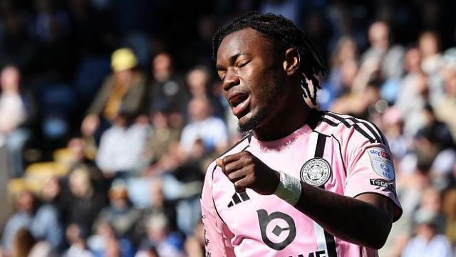 Los búhos reciben un ‘golpe bajo’ en la lucha de los zorros por la supervivencia Los búhos reciben un ‘golpe bajo’ en la lucha de los zorros por la supervivencia