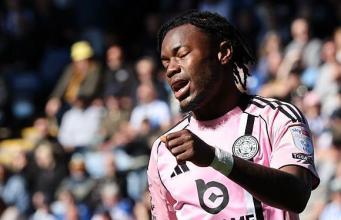 Los búhos reciben un ‘golpe bajo’ en la lucha de los zorros por la supervivencia Los búhos reciben un ‘golpe bajo’ en la lucha de los zorros por la supervivencia