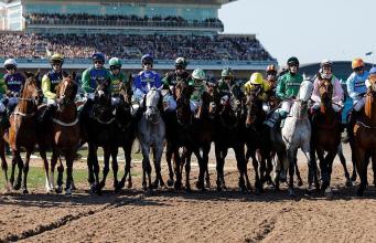 ¿Pueden los Rojos ‘trabajar’ para encontrar soluciones? ¿Pueden los Rojos ‘trabajar’ para encontrar soluciones?