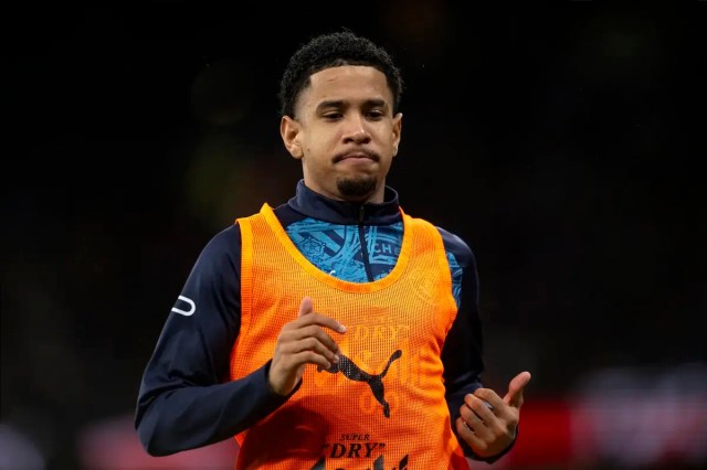 El futuro del extremo del Manchester City en duda después de las lesiones: Tottenham y Juventus entre los clubes interesados El futuro del extremo del Manchester City en duda después de las lesiones: Tottenham y Juventus entre los clubes interesados