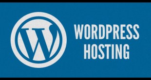 Hosting yang Bisa Instal WordPress Hosting yang Bisa Instal WordPress