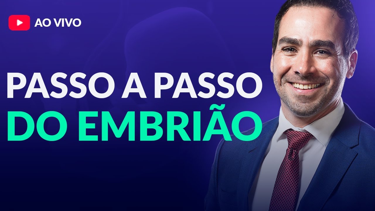 Passo a Passo do Embrião Passo a Passo do Embrião