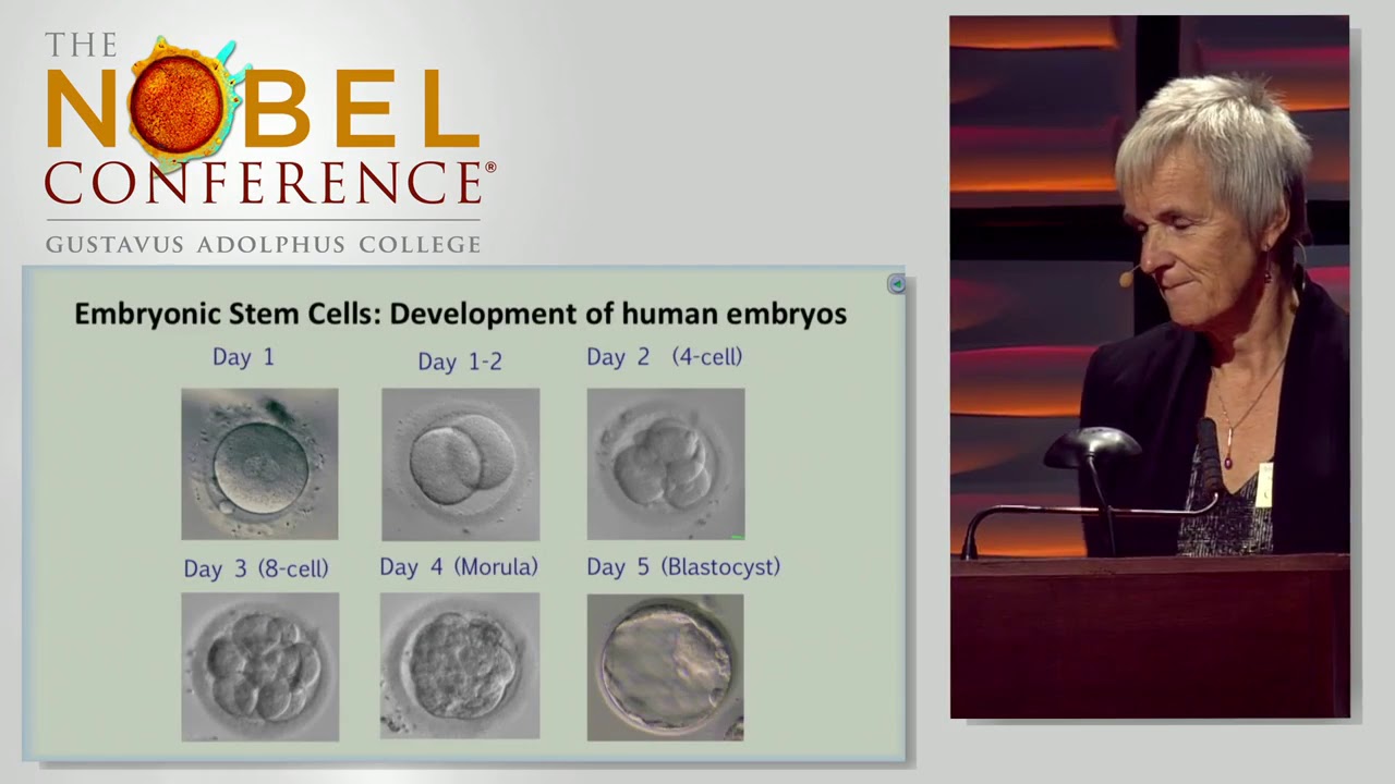 Reproductive technology Reproductive technology