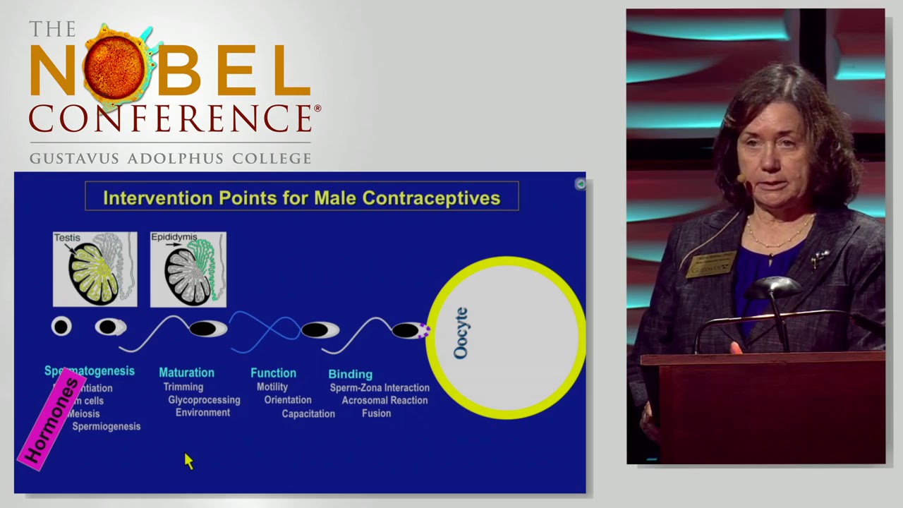 new male contraceptive new male contraceptive