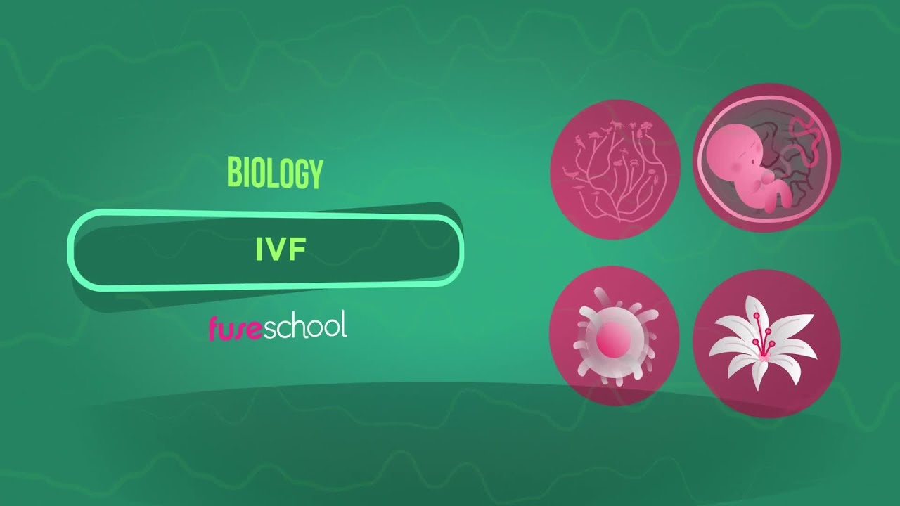 Fertility Doctors in New York Fertility Doctors in New York