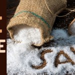 The Salty Wisdom: Life Lessons from Salt The Salty Wisdom: Life Lessons from Salt