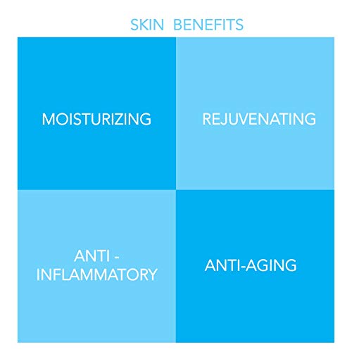 bela vi Anti-Aging Hemp Face Cream | 500mg Hemp Oil | Made in USA | Moisturizing Skin Recovery Cream | Natural Hemp Oil…