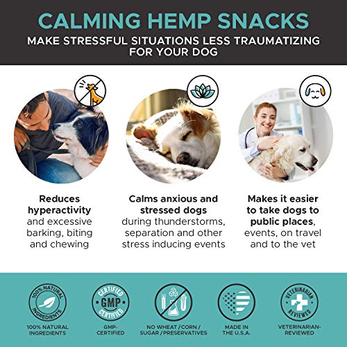 PetHonesty Hemp Calming Chews for Dogs – All-Natural Soothing Snacks with Hemp + Valerian Root, Stress & Dog Anxiety…