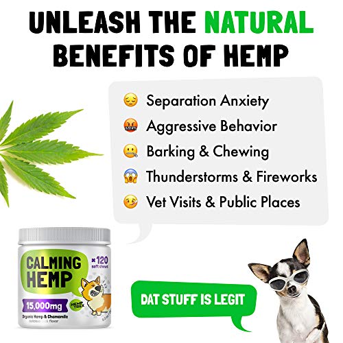 Calming Hemp Treats For Dogs – Made in USA with Organic Hemp – Dog Anxiety Relief – Natural Separation Aid – Helps with…