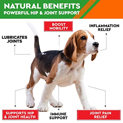 PawfectChew Hemp + Glucosamine Treats for Dogs – Made in USA Hip & Joint Supplement w/Hemp Oil Chondroitin MSM Turmeric…