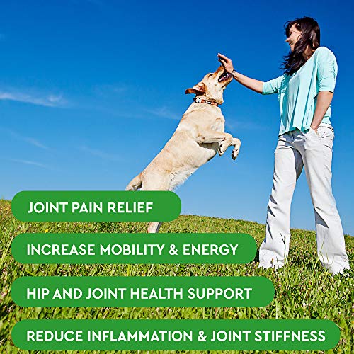 PawfectChew Hemp + Glucosamine Treats for Dogs – Made in USA Hip & Joint Supplement w/Hemp Oil Chondroitin MSM Turmeric…