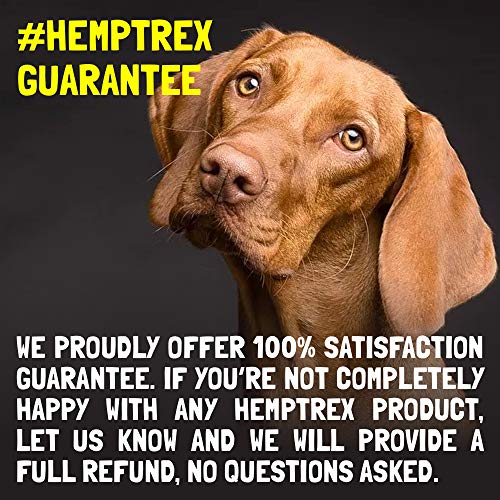Calming Hemp Treats For Dogs – Made in USA with Organic Hemp – Dog Anxiety Relief – Natural Separation Aid – Helps with…