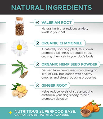 PetHonesty Hemp Calming Chews for Dogs – All-Natural Soothing Snacks with Hemp + Valerian Root, Stress & Dog Anxiety…