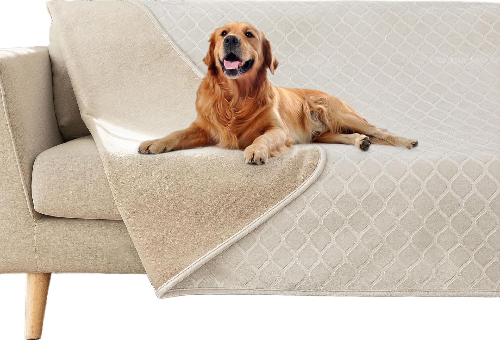 fuguitex Waterproof Canine Blanket Mattress Cowl Canine Crystal Velvet Moroccan Fuzzy Cozy Plush Pet Blanket Throw Blanket for Sofa Couch(52 * 82 inch, Cream+Beige) fuguitex Waterproof Canine Blanket Mattress Cowl Canine Crystal Velvet Moroccan Fuzzy Cozy Plush Pet Blanket Throw Blanket for Sofa Couch(52 * 82 inch, Cream+Beige)